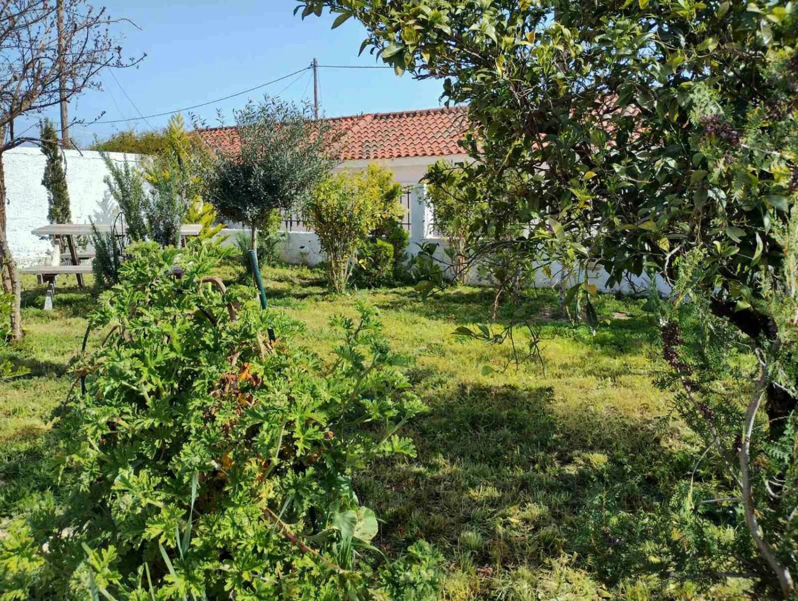 Asíni Nafplio Cottage-Grandma'S Yard מראה חיצוני תמונה
